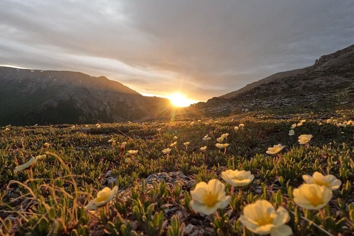 Authentical Denali Tour from Denali Park and Fairbanks