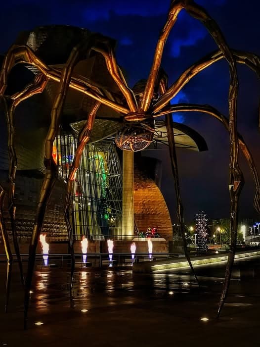 The magic of the Guggenheim museum (interior and exterior - 2 hours with VIP tickets)