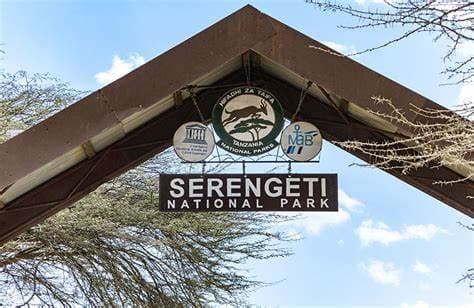 4-Day Tanzania Private Luxury Safari with Free Kids Under 3