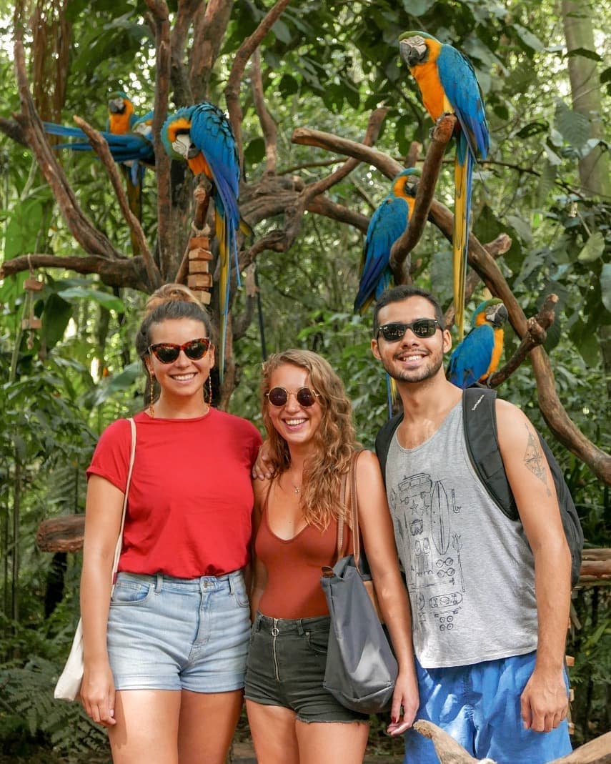 Cataratas del Iguazu Brasil y Parque de las Aves en un solo dia
