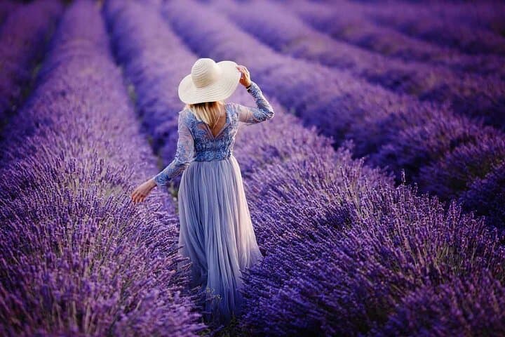 Lavender Fields Full Day Private Tour From Marseille