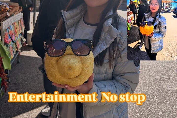 Private Transfer from Naples to Sorrento or Vice versa