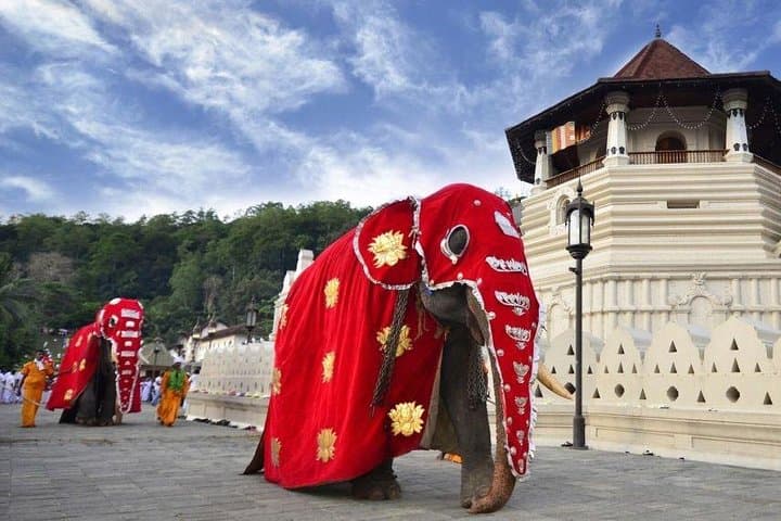 All Inclusive Kandy Private Day Tour From Colombo and Negombo