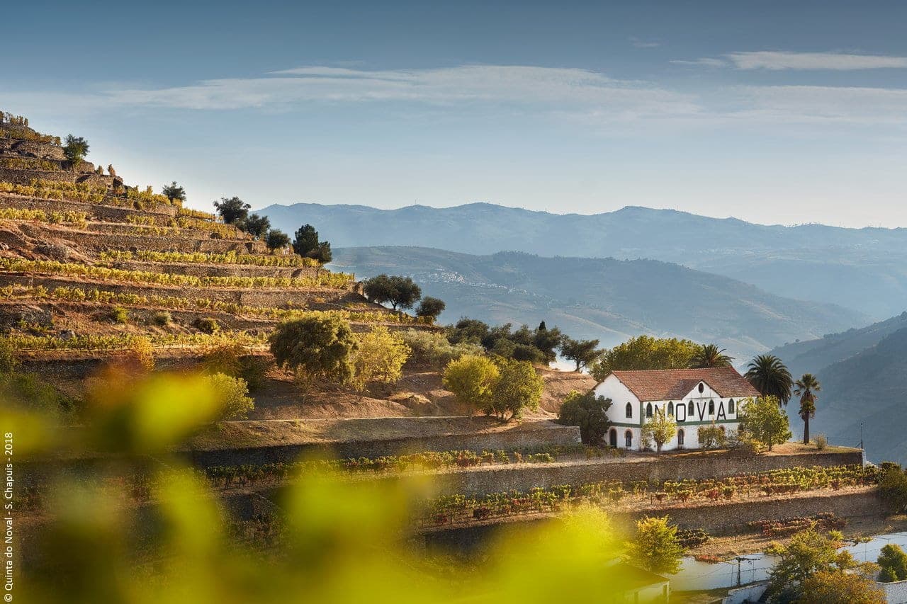 4×4 Douro Wine Tasting Tour