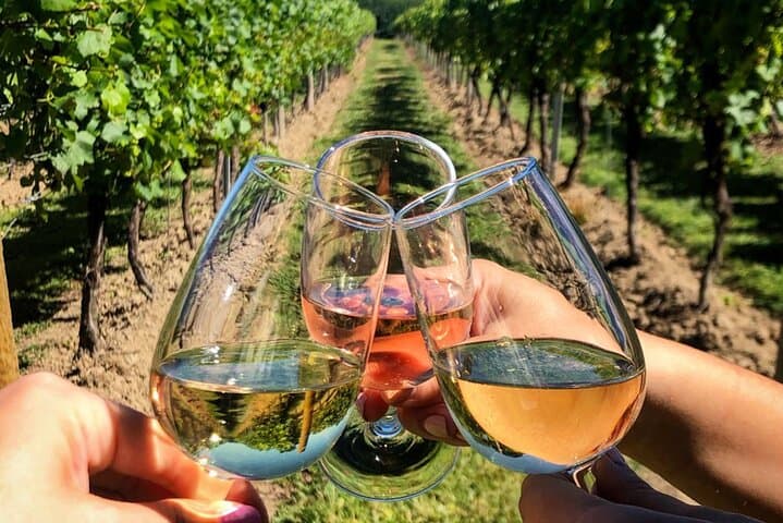 FOR CRUISERS:Kusadasi Port Private Wine Tasting and Ephesus Tour 