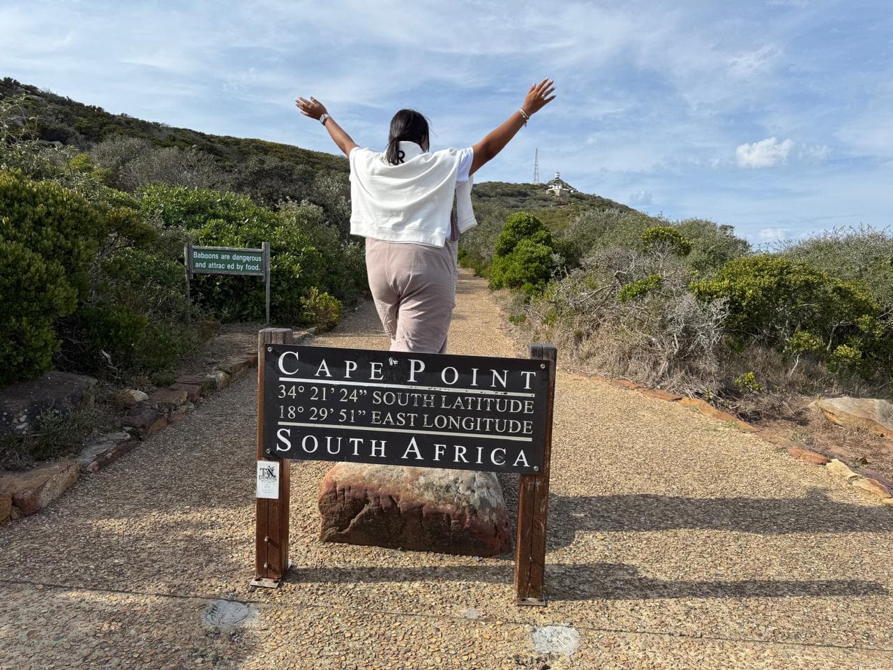 Half Day Penguins and Cape Point Small Group Tour