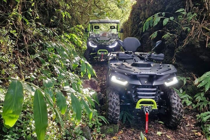 Adventure by buggy in Mount Pico