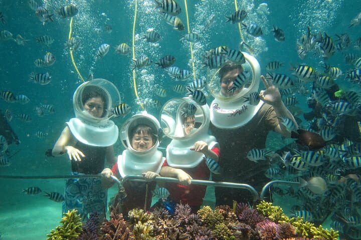 St Maarten SeaTrek and Snorkeling Adventure 