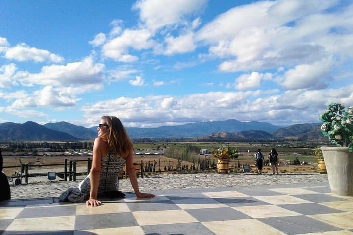 Private Wine Tasting tour in Casablanca Valley Vineyards