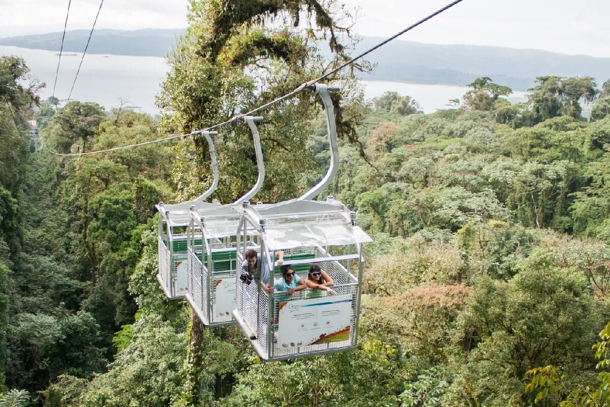 Monteverde Cloud Forest Experience / from Arenal