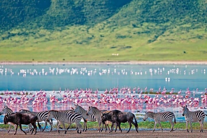 2-Day Hell's Gate, Crescent Island and Nakuru - Private Safari