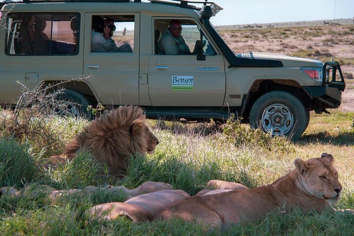 6 Days Full Camping Safari - The Serengeti Trail & Tarangire