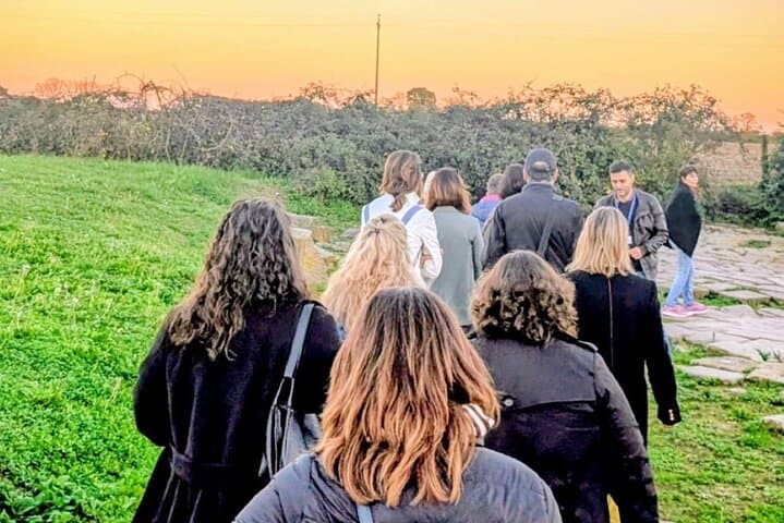 Before Venice Guided Tour of Ancient Altinum