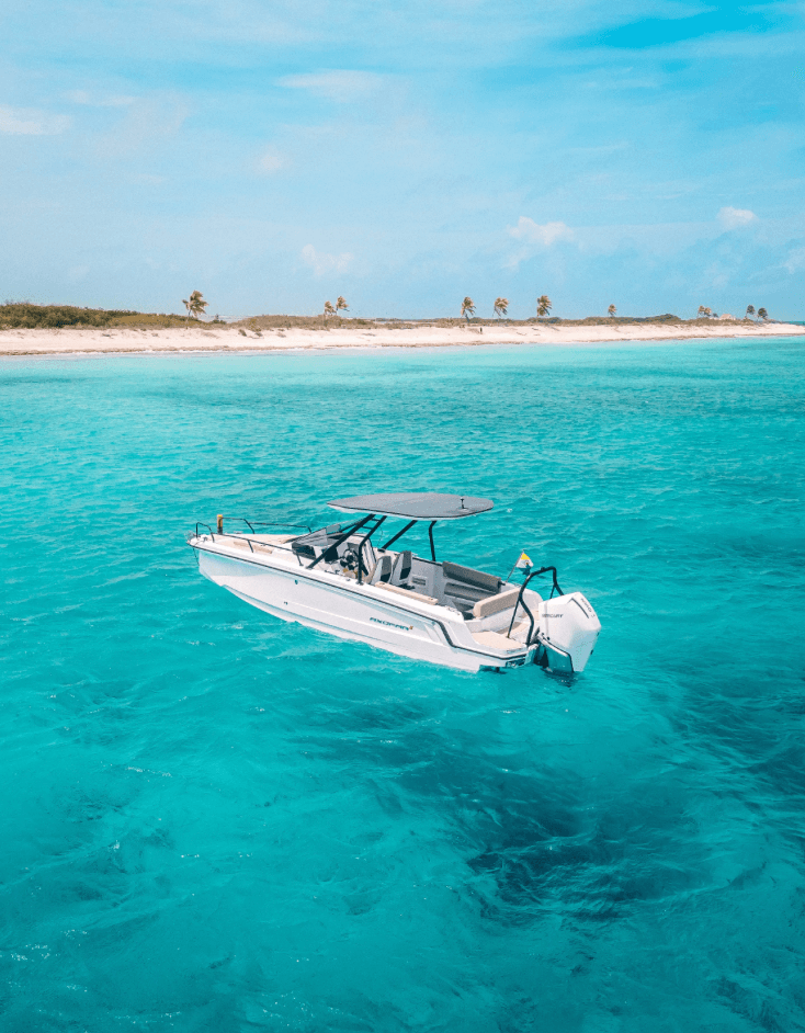  Coastal Cruise by motorboat