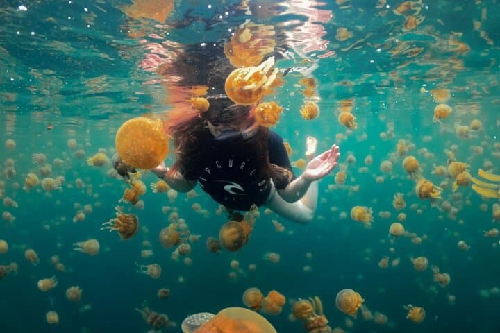Jellyfish sanctuary and Sohoton cove Full-Day Tour