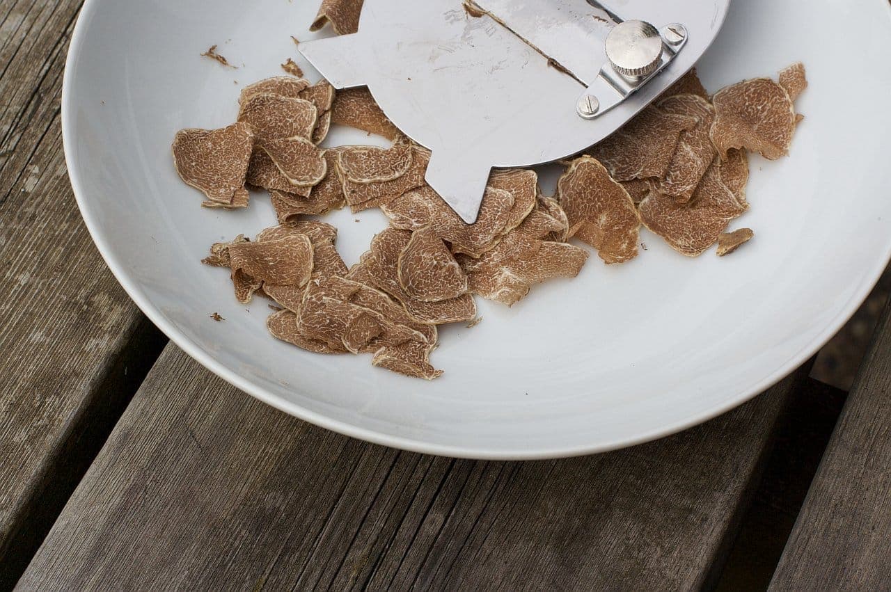 Truffle hunting in the heart of Tuscany Valdichiana Senese