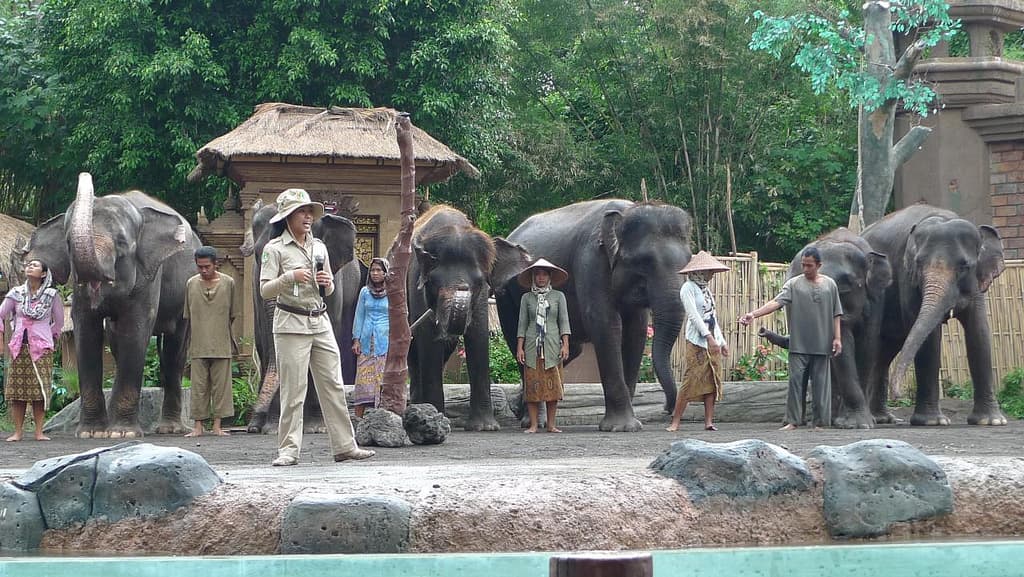 Private Tour: Ubud and bali Safari Marine Park