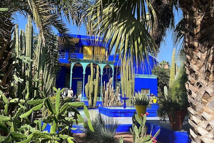 Marrakech's Hidden Gem: Majorelle Garden & Camel Safari Joy