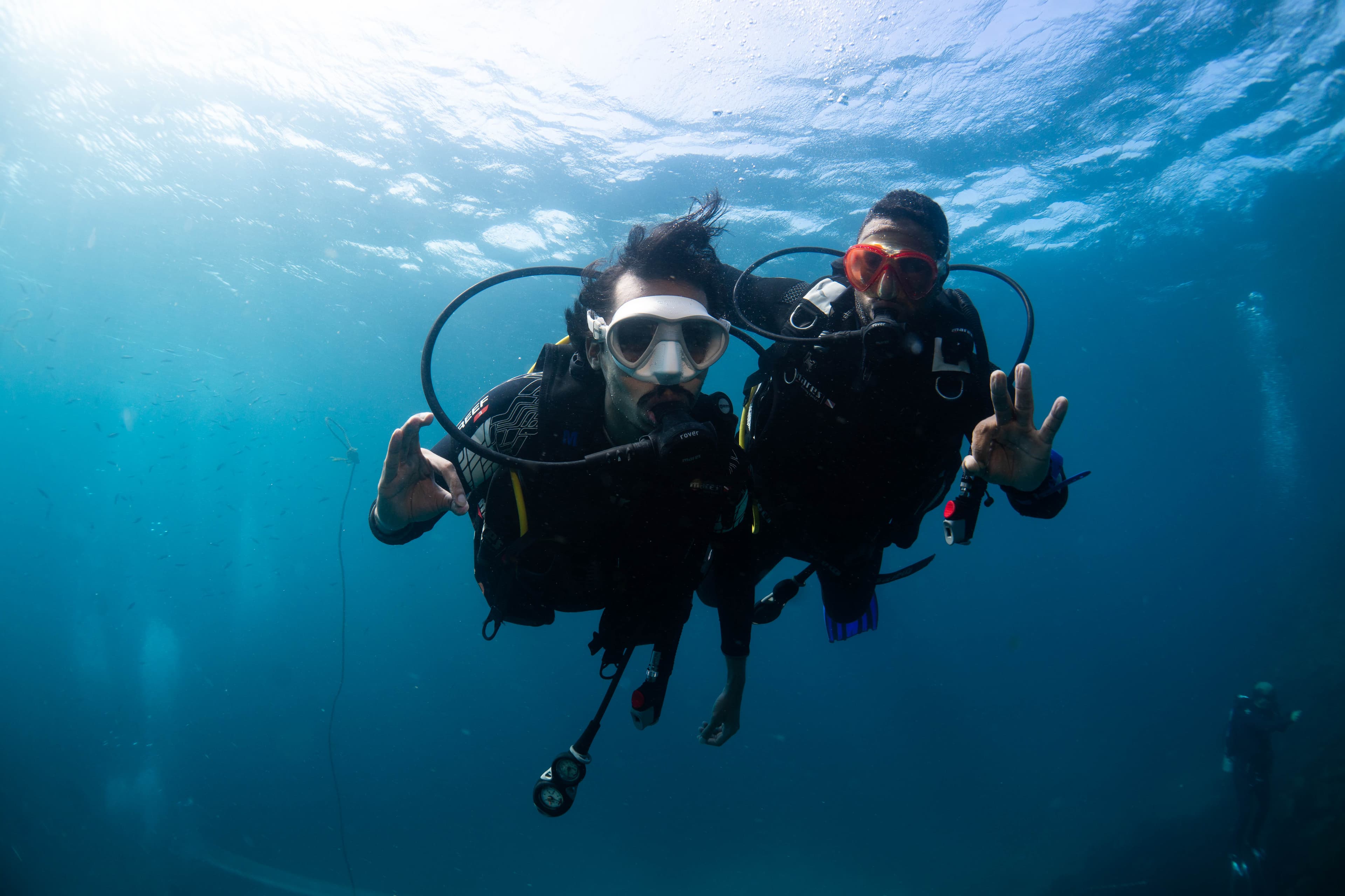[Cerified divers Only] Shore Diving Experience