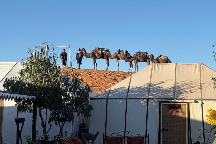 Private Fes to Fes Desert tour 2 Days with luxury camps