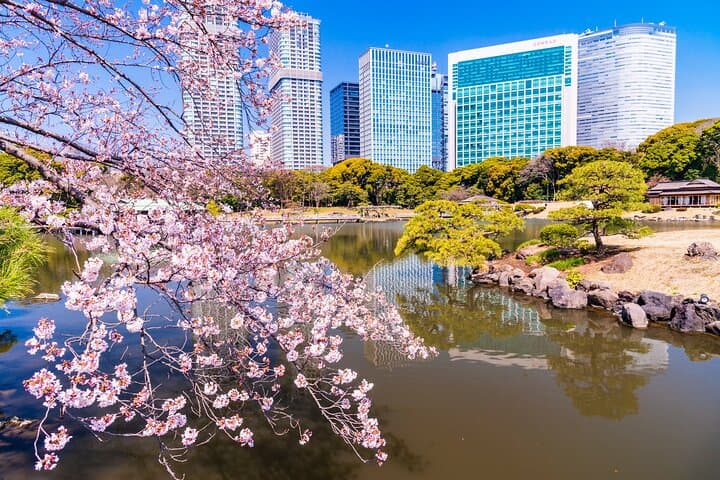 Tokyo: Hama-rikyu Gardens tour with Japanese Tea & Sweets