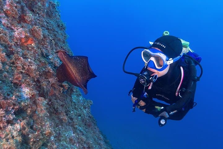 Small-group Discover Scuba Diving Adventure