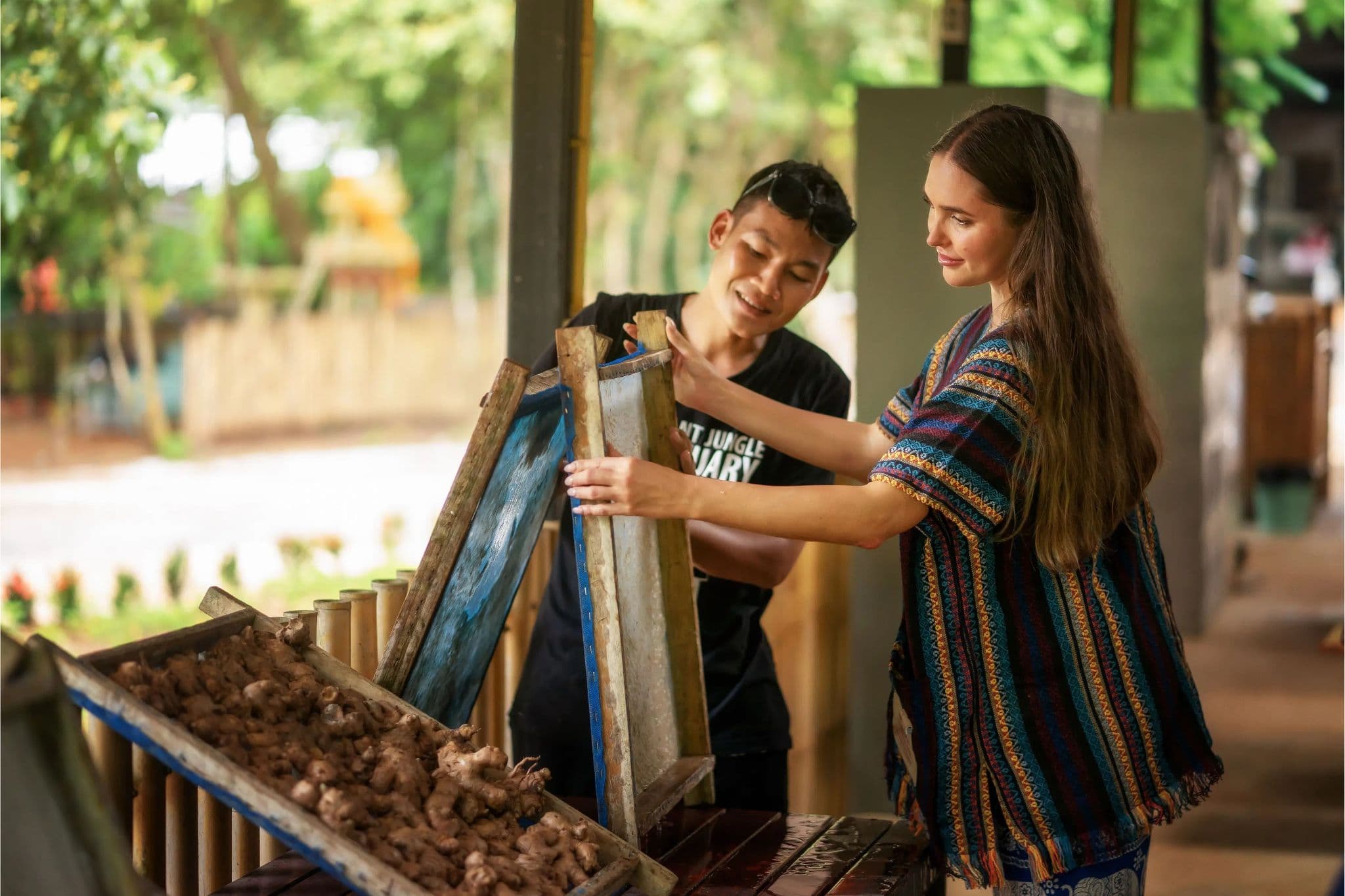 Phuket: Walk With Elephants Experience