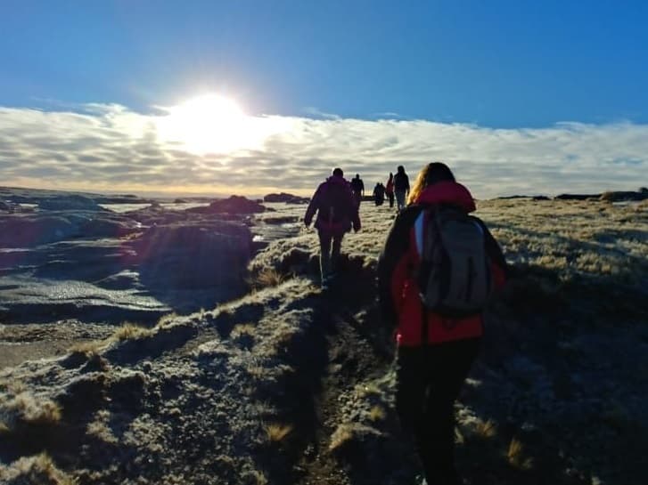 5.5-Hour National park w/ hiking Shore excursion - USHUAIA (Private Tour)