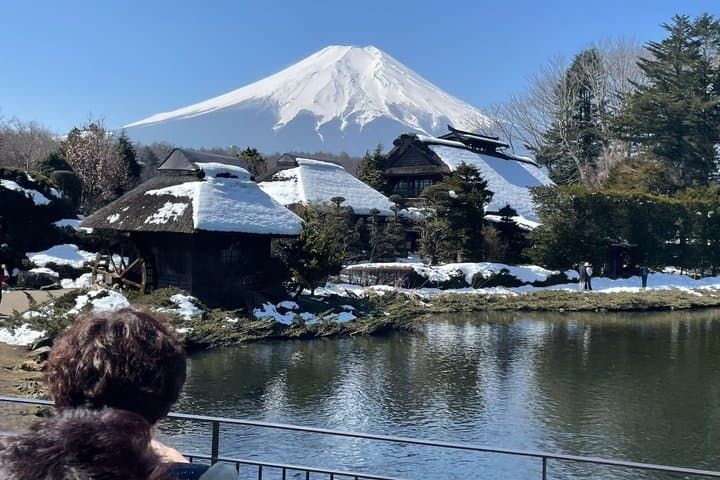 Customisable Mt.Fuji Private Day Trip, English Speaking Driver