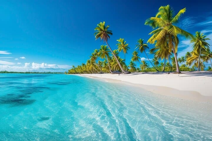 Explore Catalina Island & Snorkeling Adventure from Punta Cana