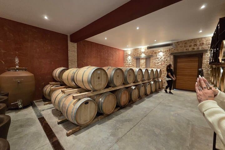 Nemea Wine Tasting & Nafplio Full-Day Private Tour from Athens