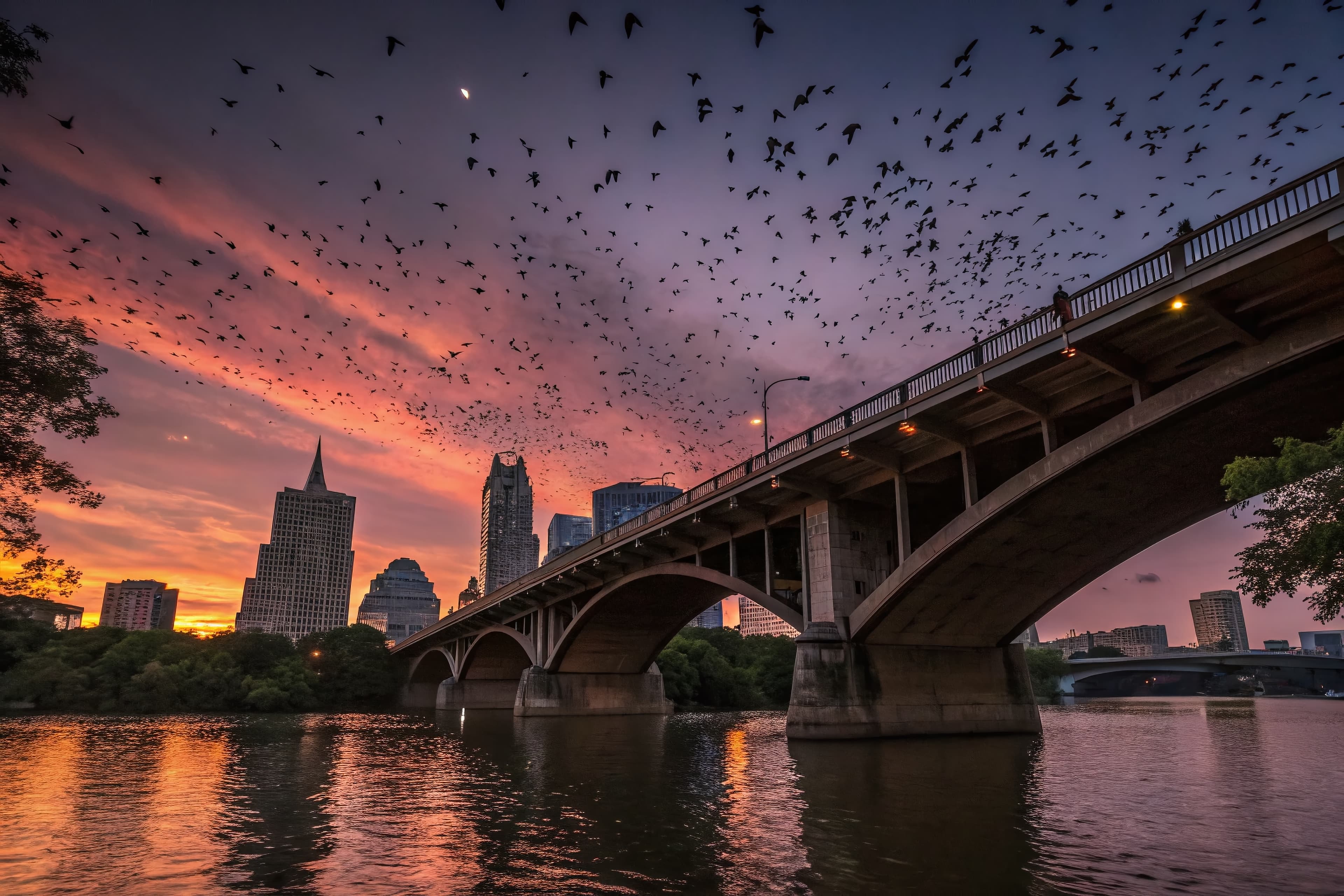 Austin’s Best Bars and Bats Tour!