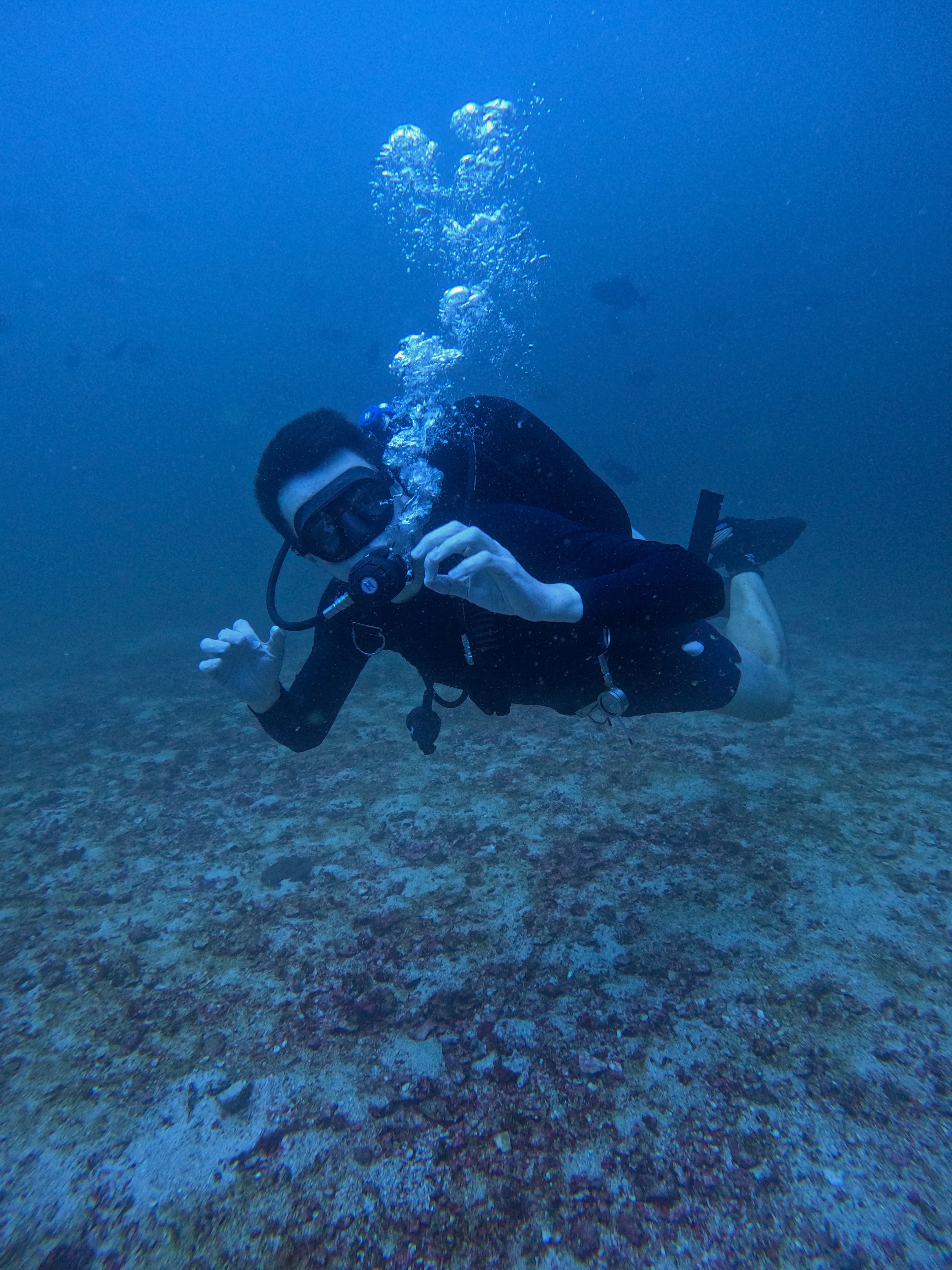 Dive & Stay Musandam Oman