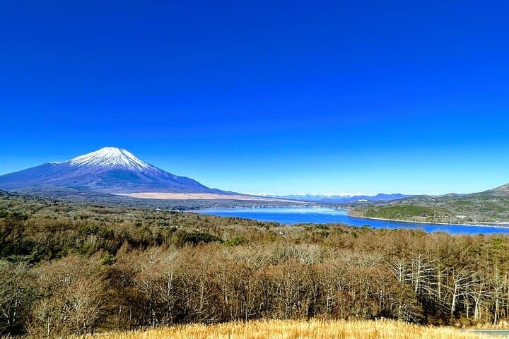 Private Mount Fuji Day Trip from Tokyo by Car