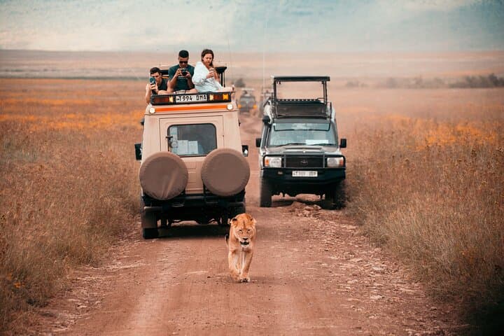 2 Day Tanzania Wildlife Safari Tarangire and Ngorongoro Crater 