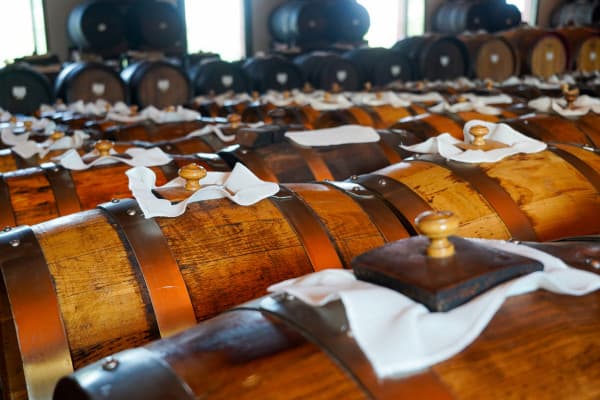 From Bologna: Brunch, Balsamic Vinegar and Wines in the Food Valley