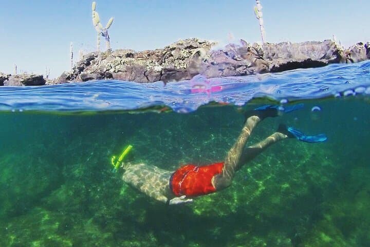 Full day Lava Tunnels Tour from Isabela Island