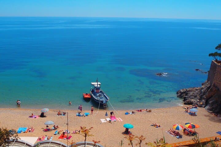 PADI Open Water Diver - First diving title