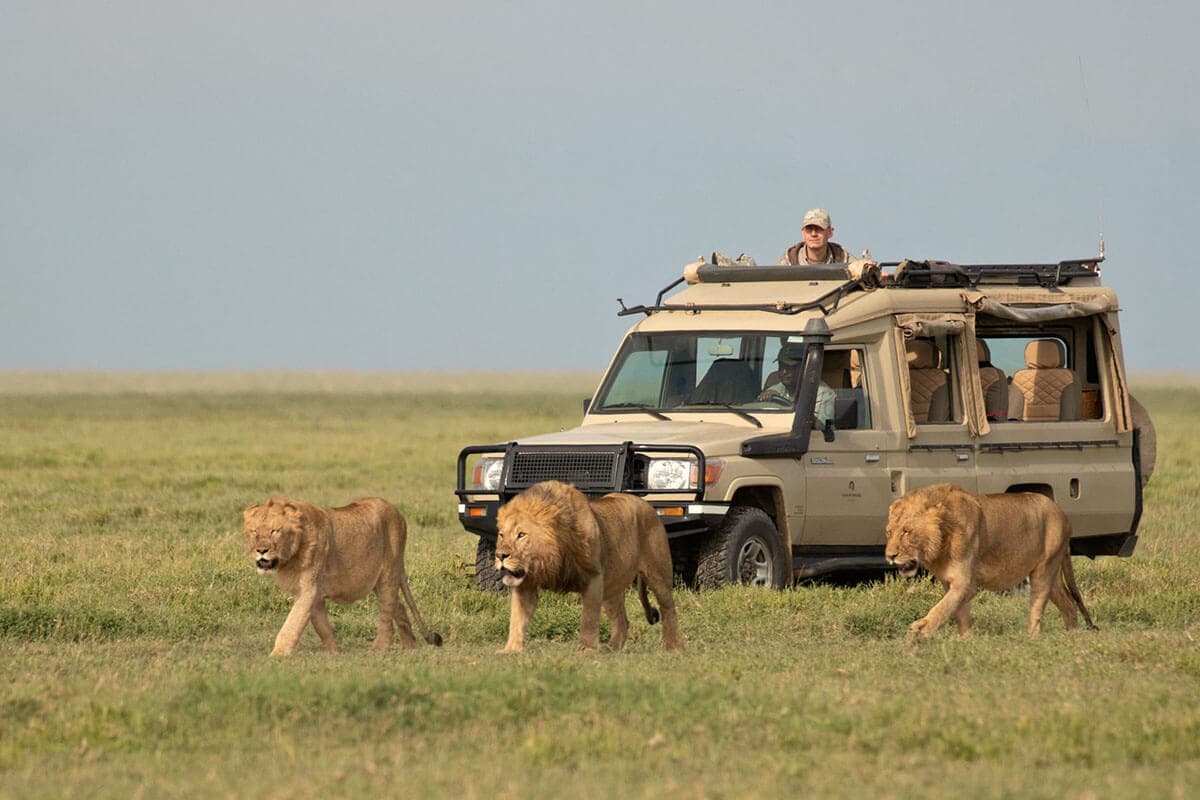 5-Day Kenya Wild Safari Tour Adventure in 3 Famous Parks
