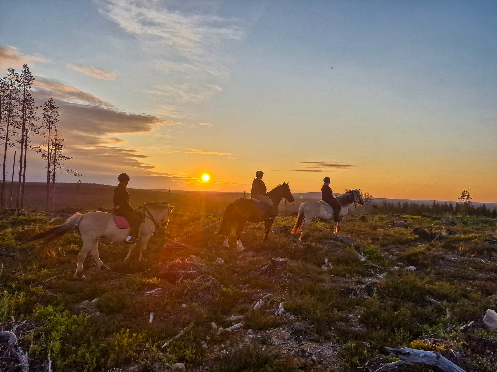 Midnight sun riding over the hills 4h (ADVANCED ONLY)