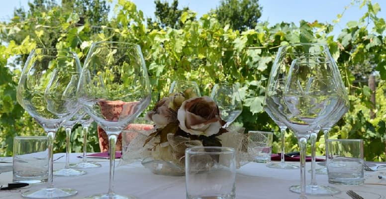 Romantic Dinner Among the Wine Rows