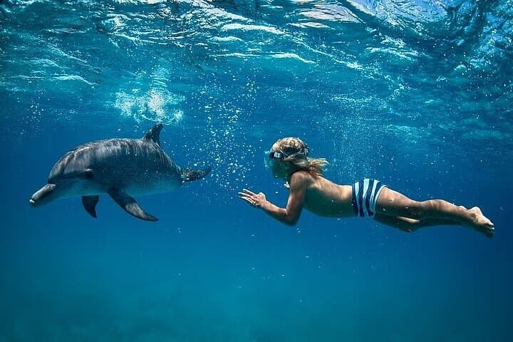Swim with Dolphins VIP Snorkeling and Water Sports in Hurghada