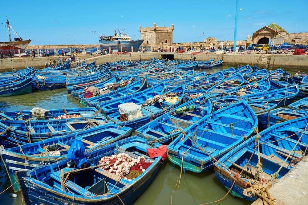 Essaouira - guided day trip from Taghazoute