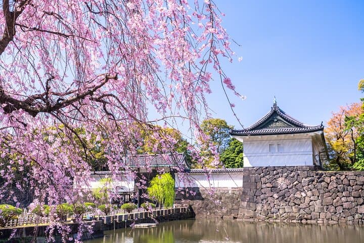 Tokyo Private Tour: Imperial Palace East Gardens&Edo Castle Ruins