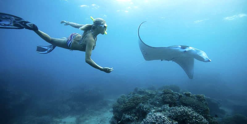 Snorkeling Manta Ray Safari in Nusa Penida - TH