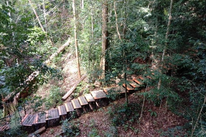 Taman Negara National Park Day Tour (SIC - Join In Tour)