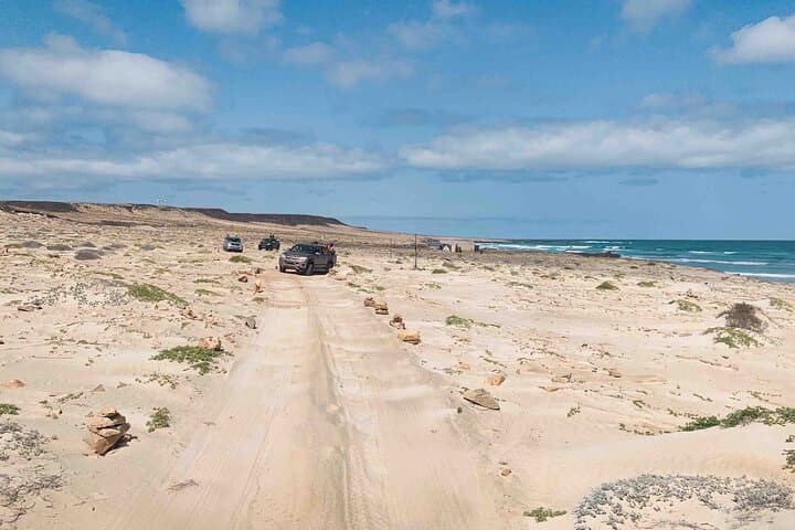 Half Day North Adventure in Boa Vista Island