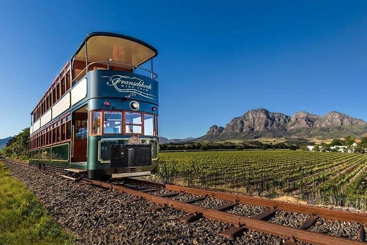 Half Day Cape Winelands Experience in Stellenbosch Private Tour