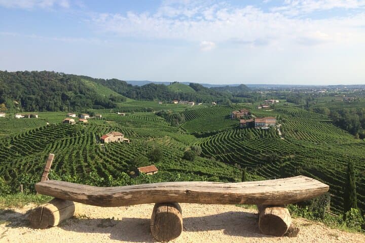 Wine tour & tasting - Prosecco Experience