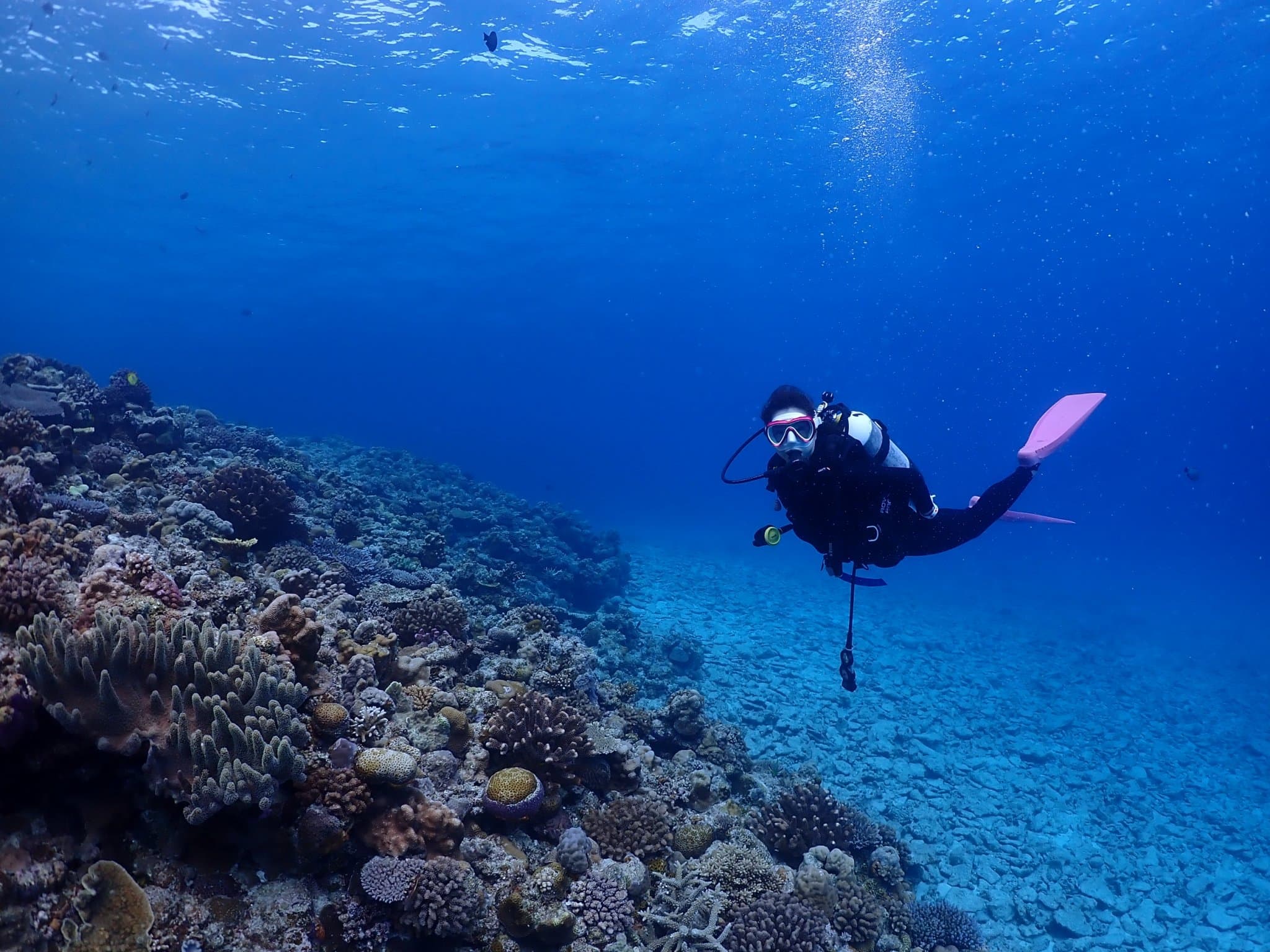 Okinawa Boat Fun Diving at Minna, Sesoko or Motobu